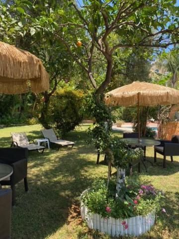 Hotel de apartamente Dionyssos Village Kato Daratso